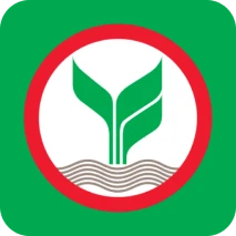 Bank
